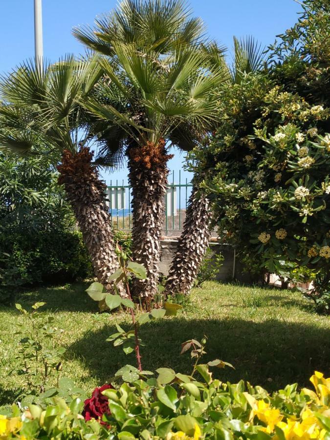 Al Giardino Sant'Anna Apartment มาสคาลิ ภายนอก รูปภาพ